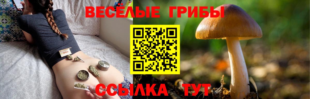 Пыть-Ях  Галлюциногенные грибы Psilocybe  Вход с VPN  Галлюциногенные грибы Psilocybe 